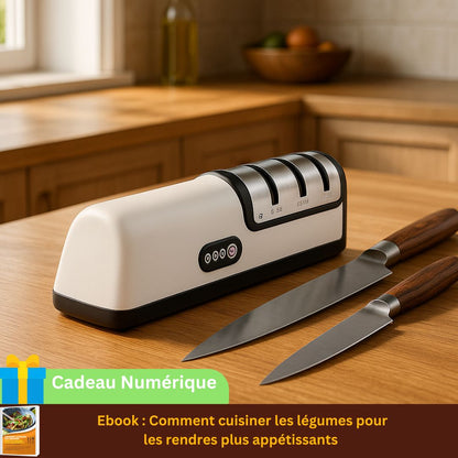 AIGUISEUR COUTEAU ELECTRIQUE｜Librecook™
