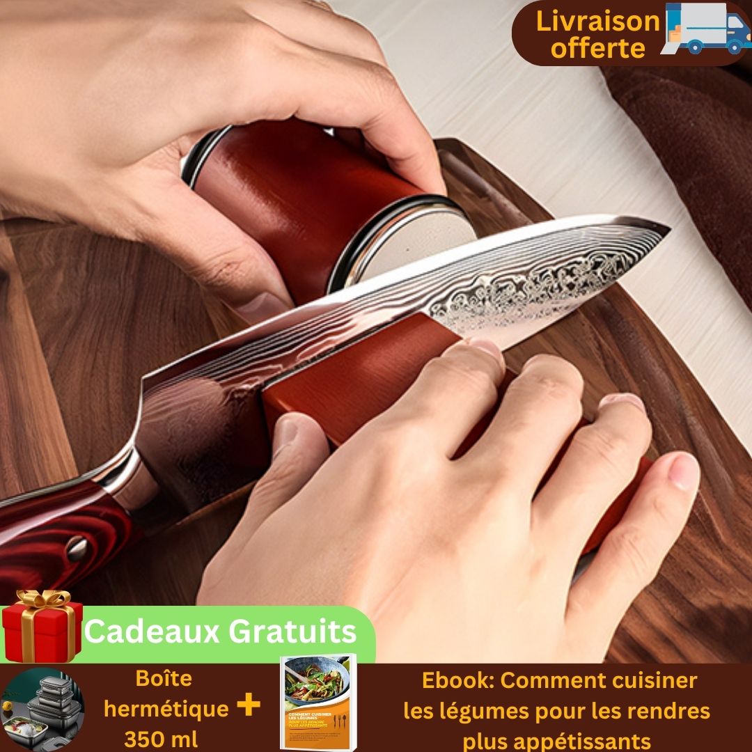 Aiguiseur couteau｜Rotary knife sharpener™