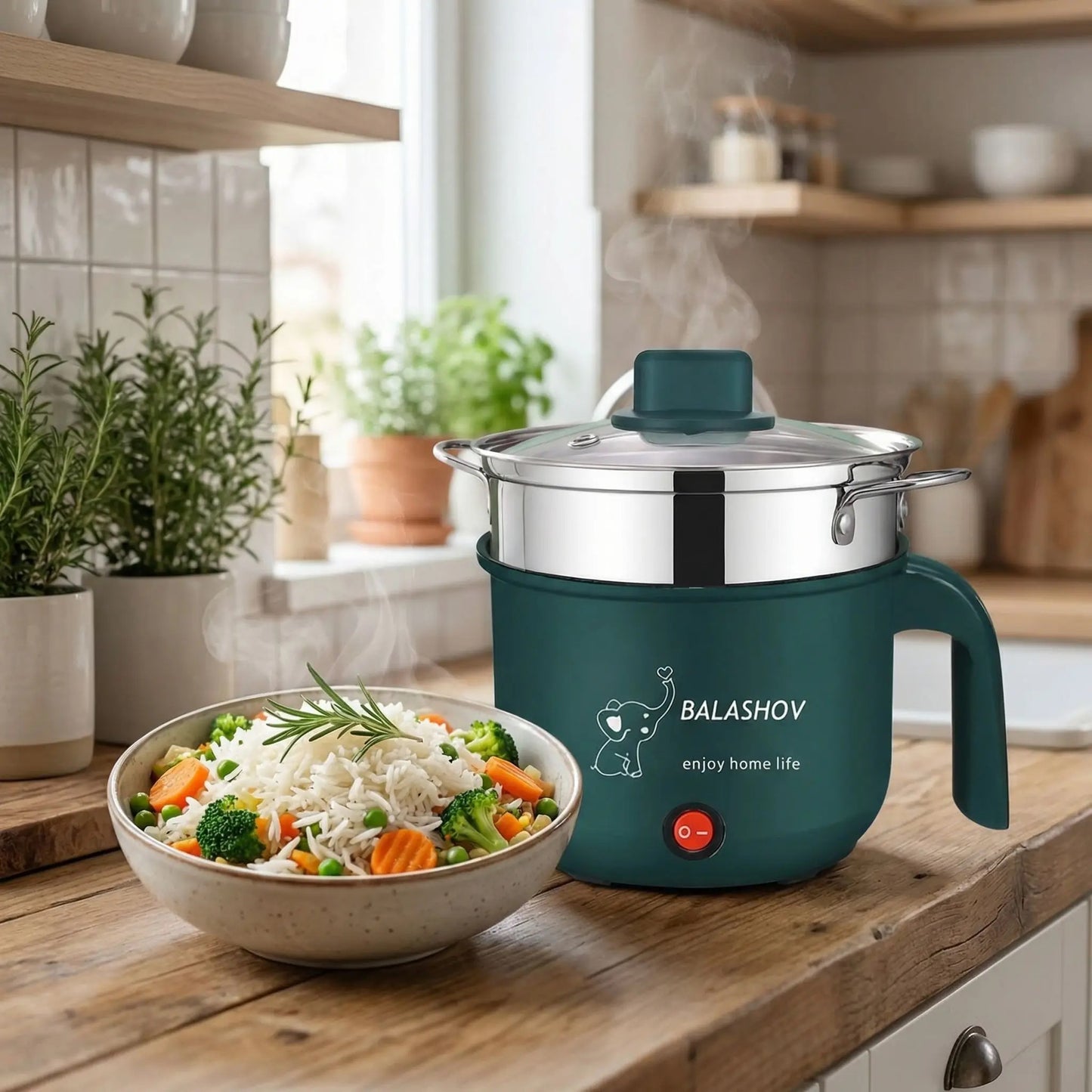 auto-cuiseur-vapeur-plat-savoureux